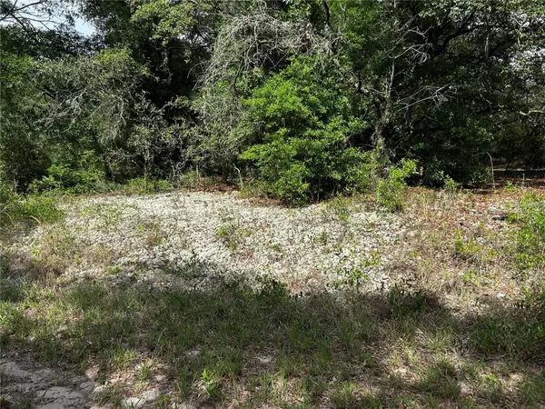 Dunnellon, FL 34431,TBD UPLANDS AVE