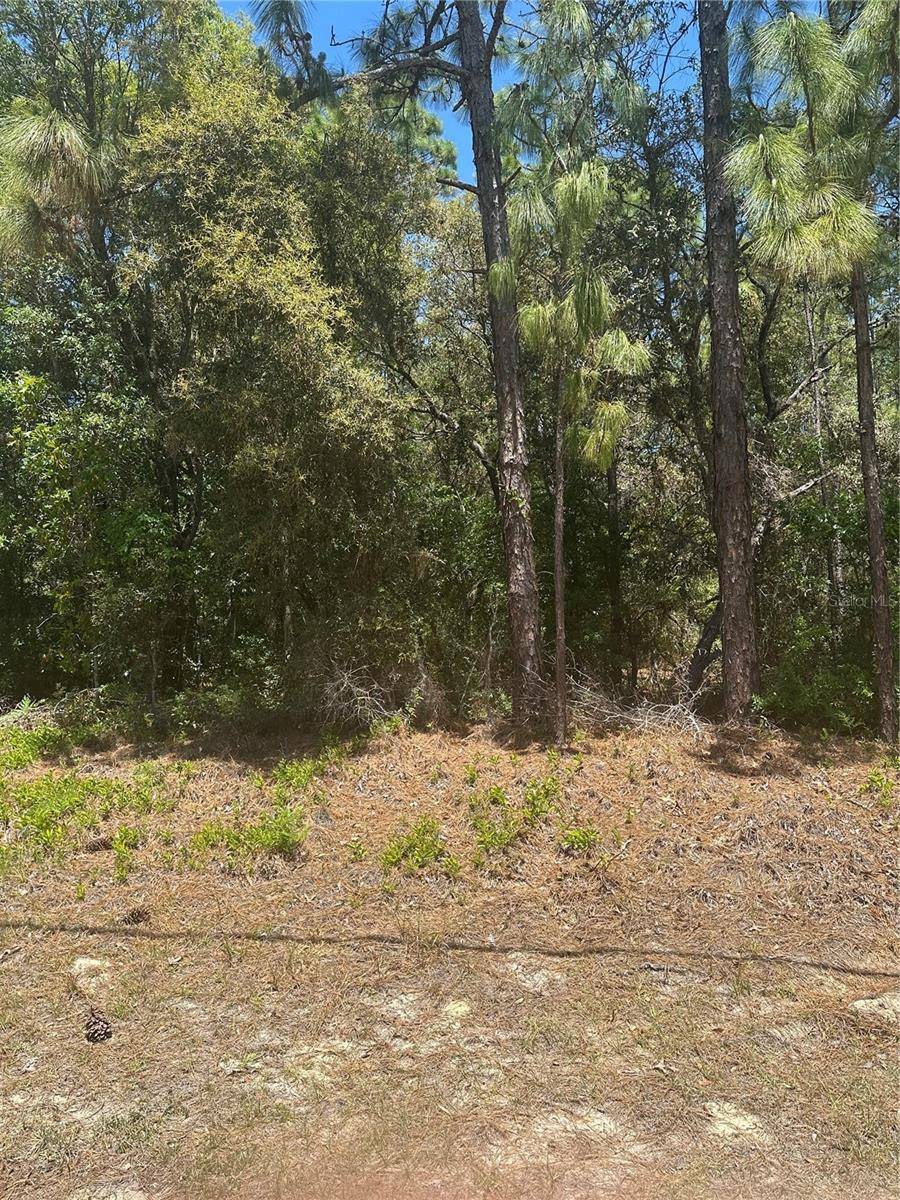 Citrus Springs, FL 34434,557 W ANDERSON LN