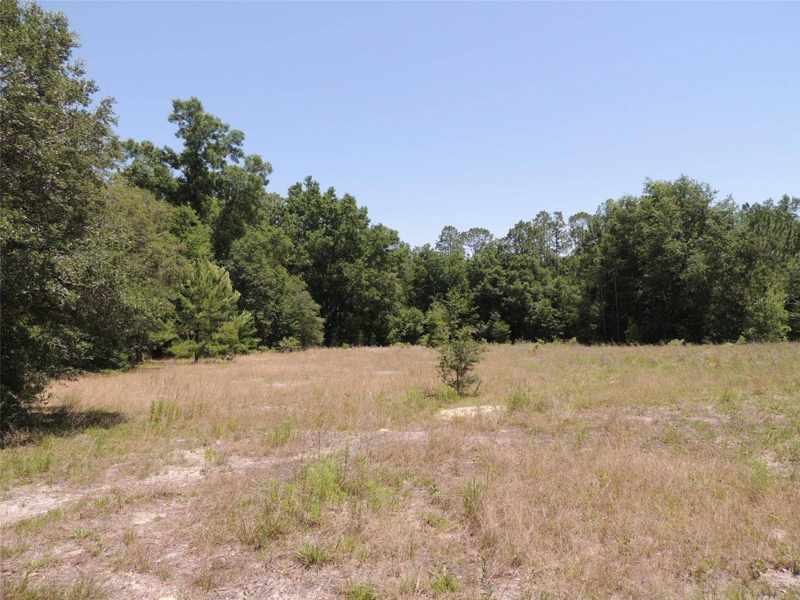Morriston, FL 32668,tbd SE 55TH ST