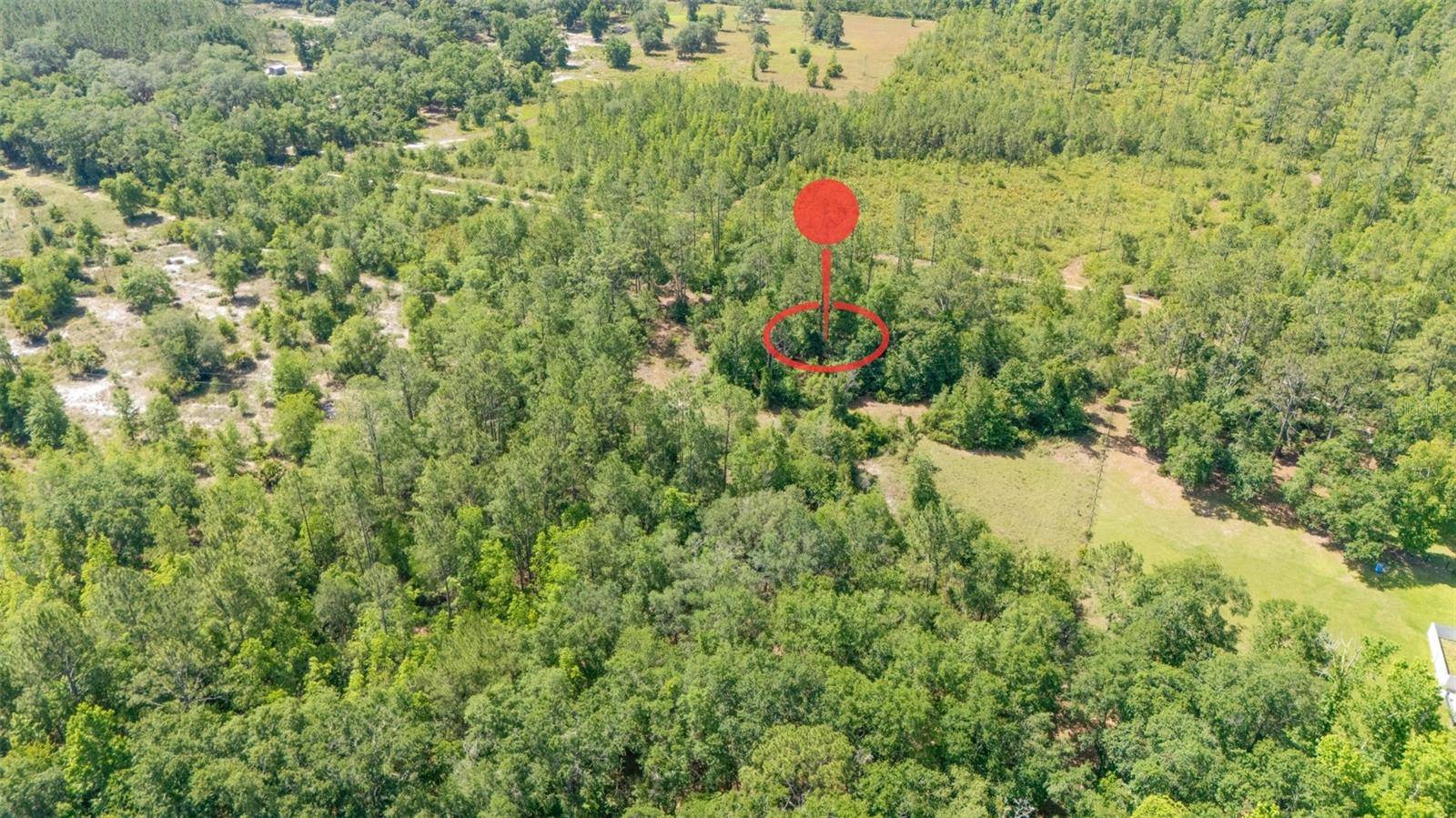 Citra, FL 32113,TBD NE 227TH PL