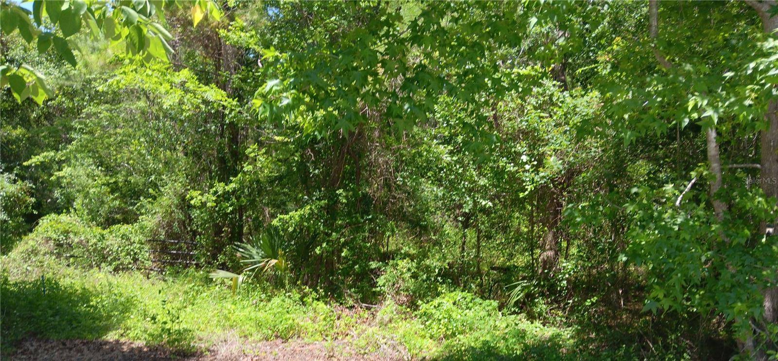 00 NW 82 CT, Ocala, FL 34482