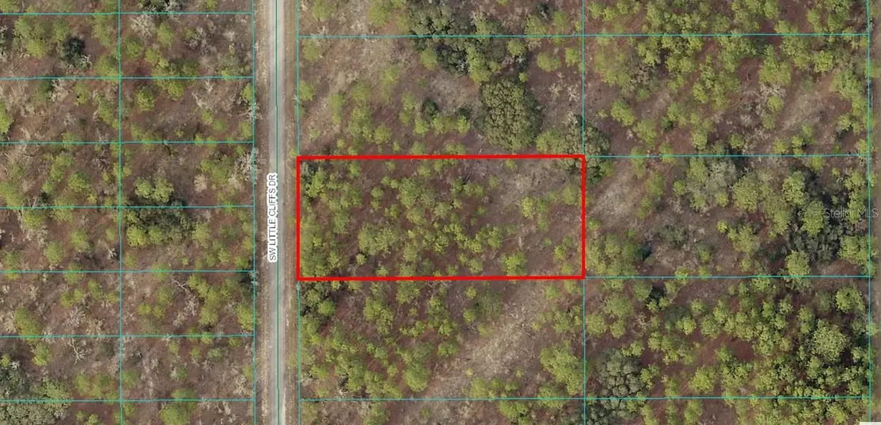 TBD LOT 24 SW LITTLE CLIFFS DR, Dunnellon, FL 34431