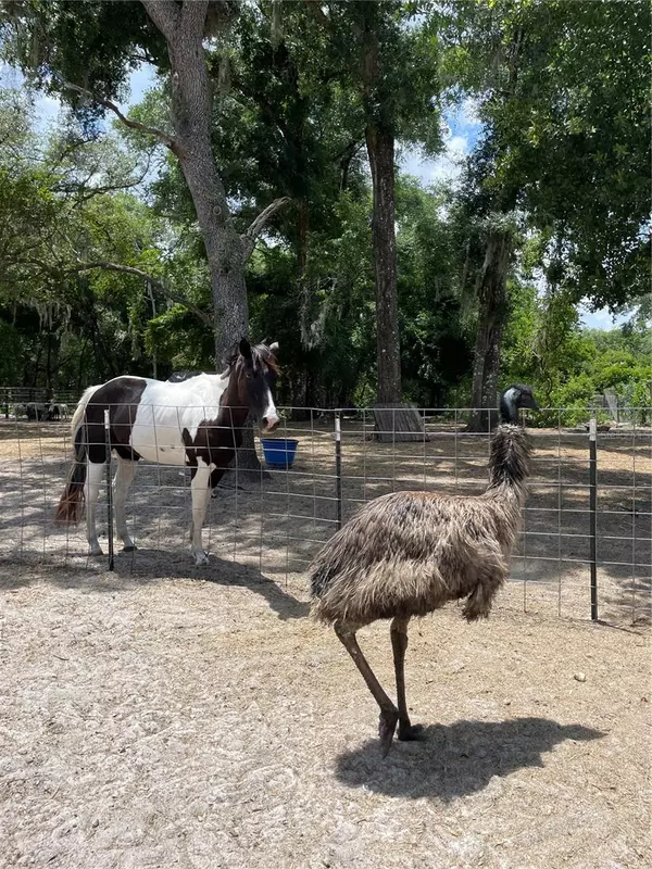 Dade City, FL 33523,4059 MCKETHAN RD