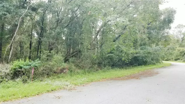 Citrus Springs, FL 34434,9775 N DEARING LOOP