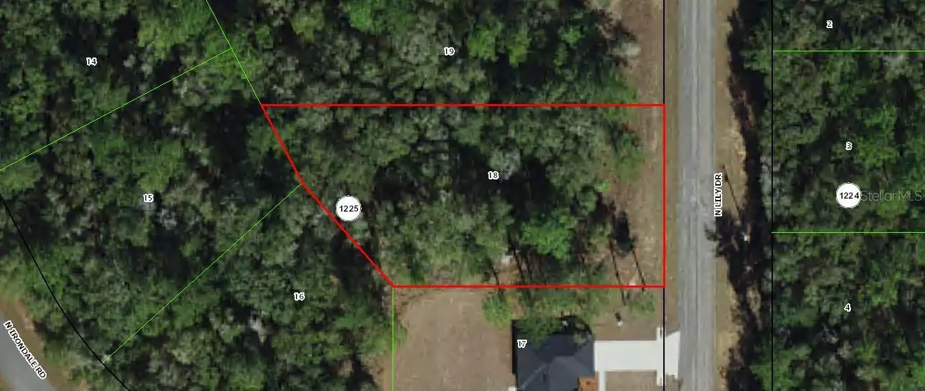 8844 N LILY DR, Citrus Springs, FL 34434