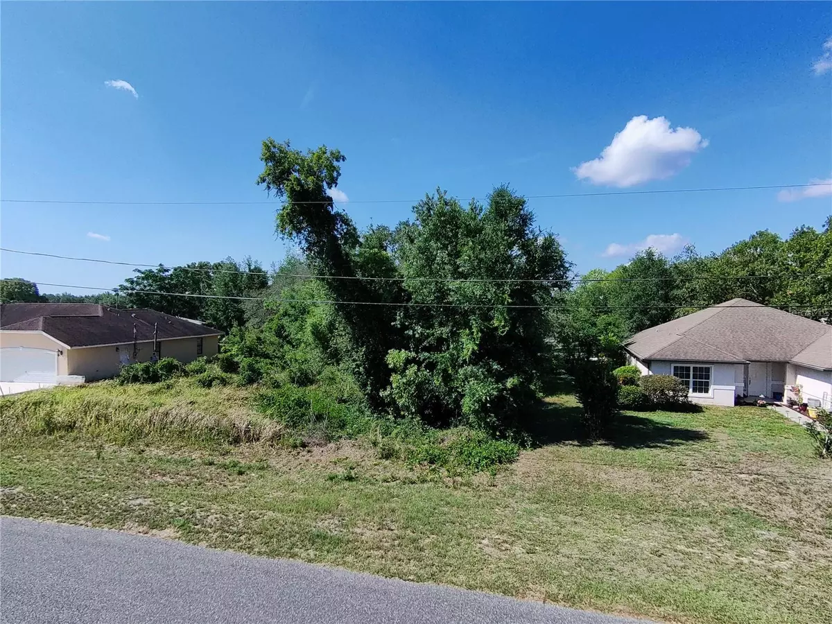 Ocala, FL 34472,OLIVE RD