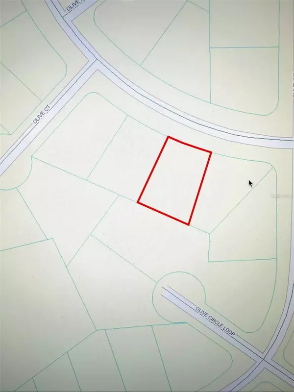 Ocala, FL 34472,OLIVE RD
