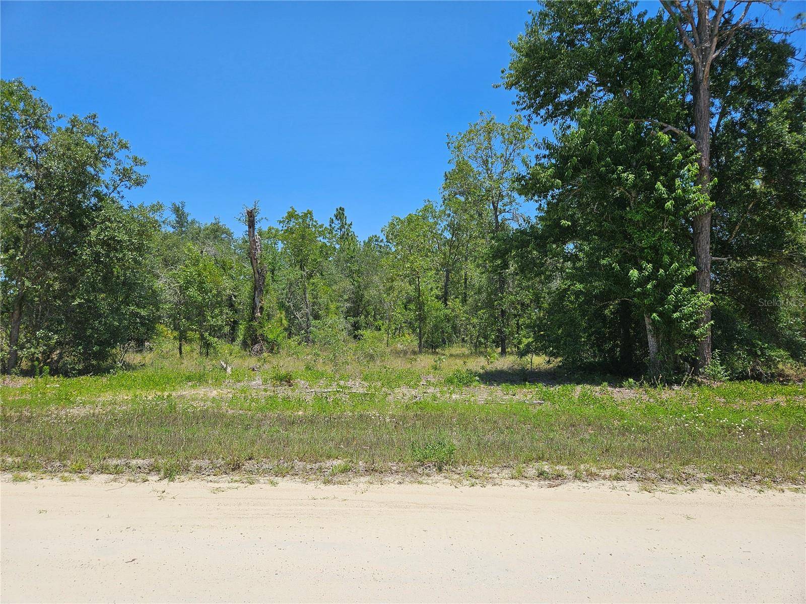 TBD SE 26TH ST, Morriston, FL 32668