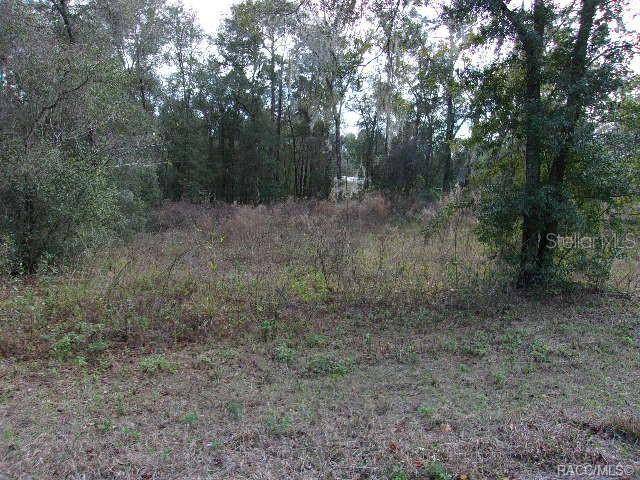 6700 E HAYNES LN, Inverness, FL 34452