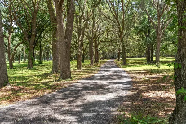 Morriston, FL 32668,9450 NW 150TH AVE