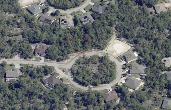 Homosassa, FL 34446,17 RUDBECKIA CT