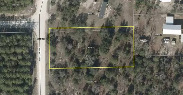 00 E ROYAL OAK DRIVE CV, Perry, FL 32348