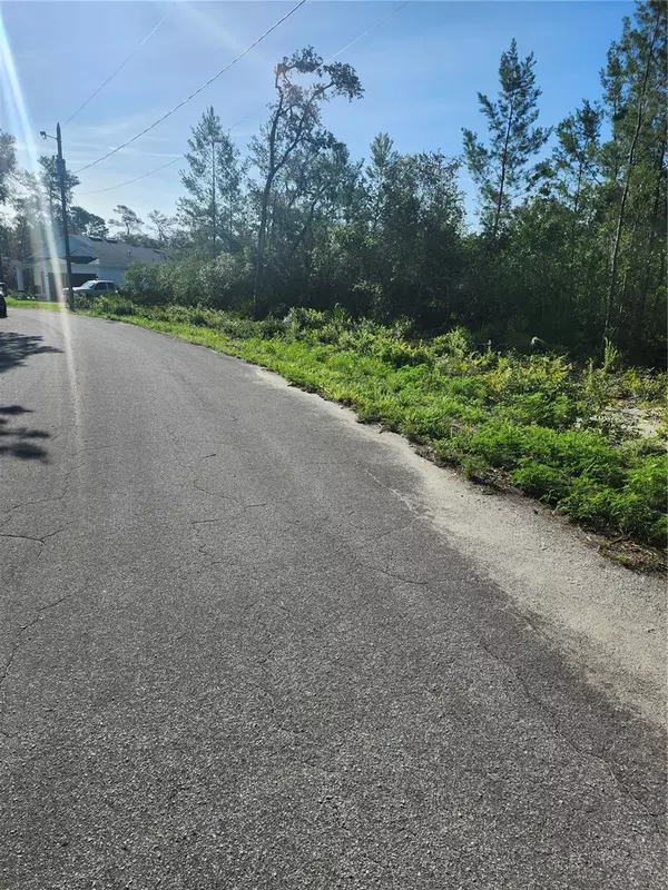 Ocklawaha, FL 32179,00 FISHER TRAIL