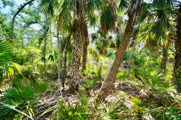 Perry, FL 32348,00 LEROY LYONS RD