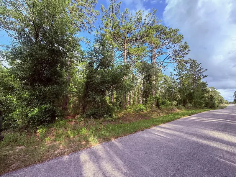 1159 NW REDWOOD DR, Dunnellon, FL 34431