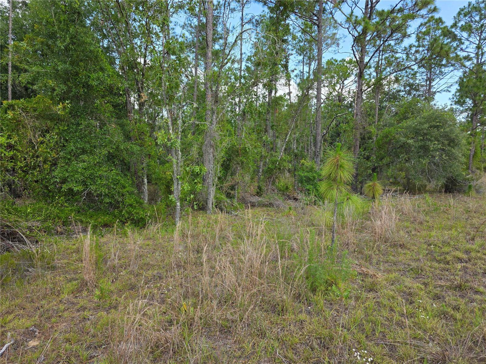 Williston, FL 32696,TBD NE 131ST CT