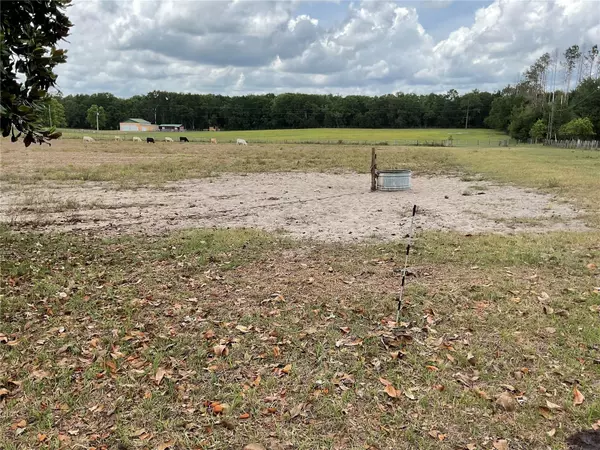 Bronson, FL 32621,tbd NE 46TH LAND