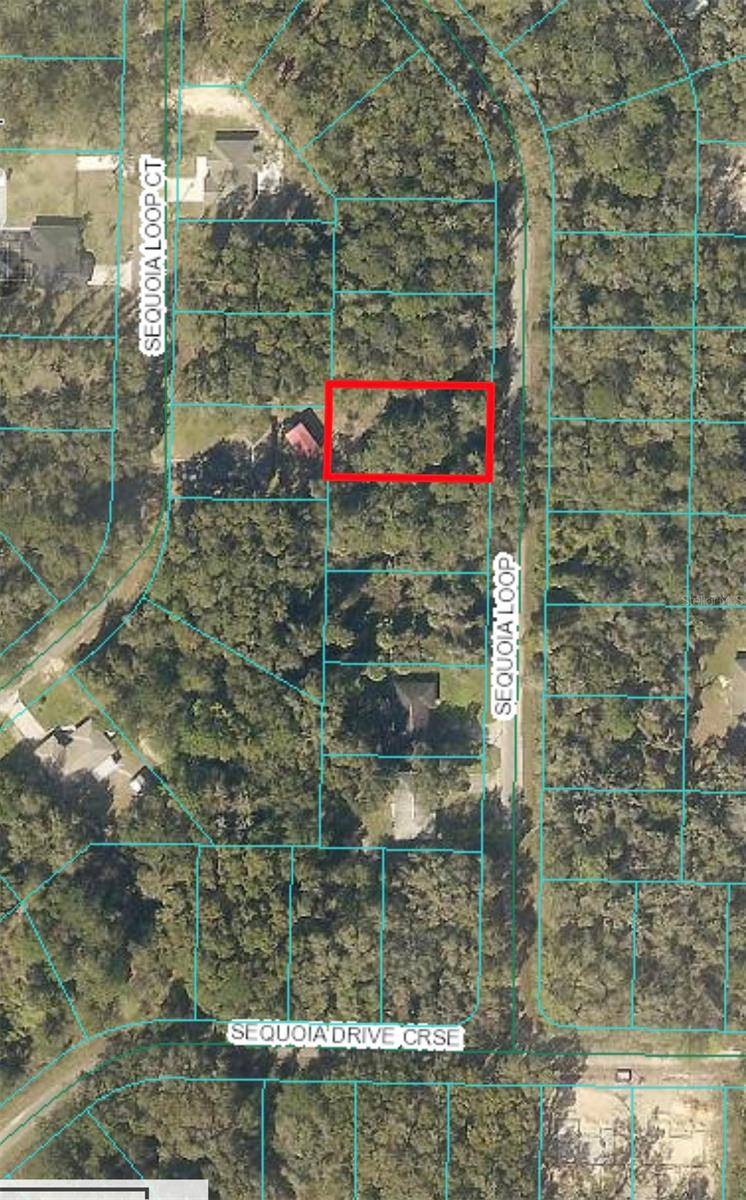 Ocklawaha, FL 32179,0 SEQUOIA LOOP