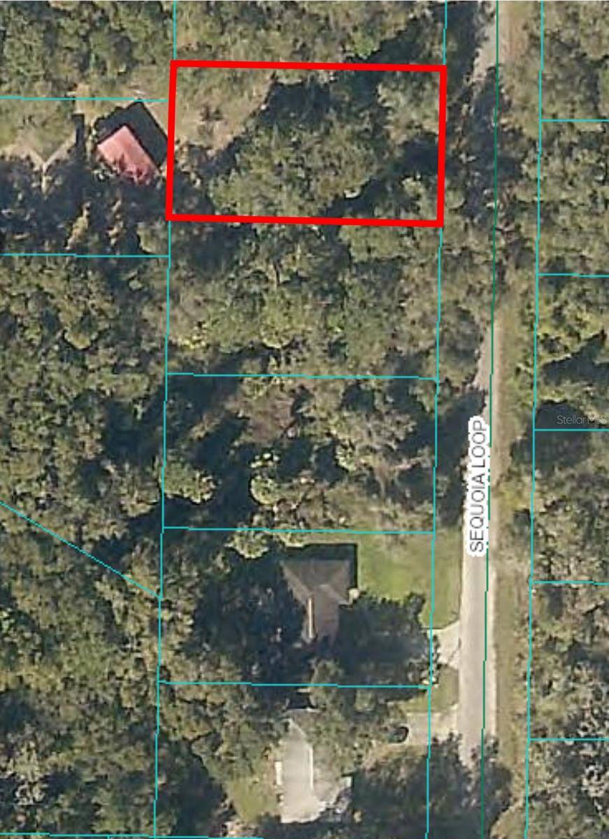 0 SEQUOIA LOOP, Ocklawaha, FL 32179