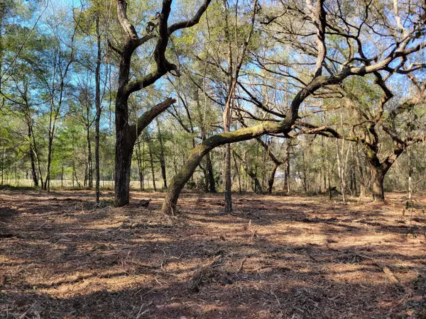 Fort Mc Coy, FL 32134,3.57ac NE 315 HWY #32