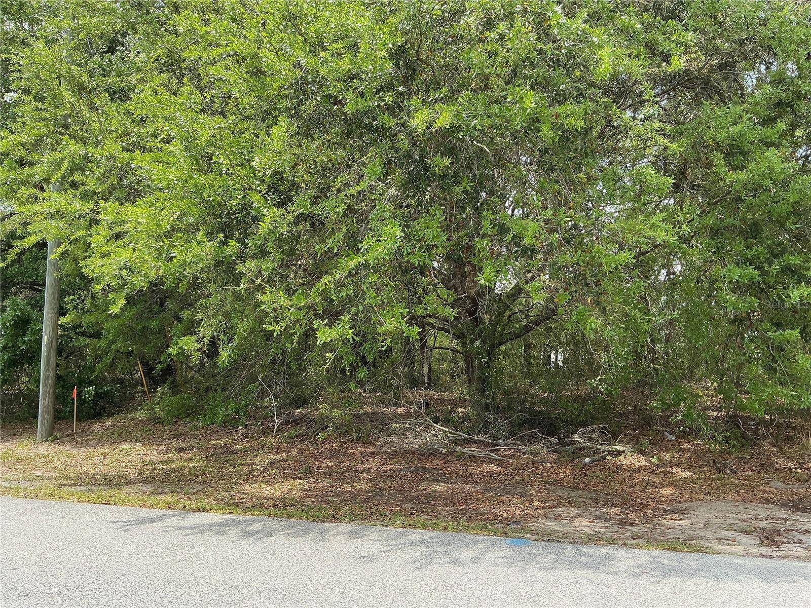 Ocala, FL 34473,SW 40TH TER