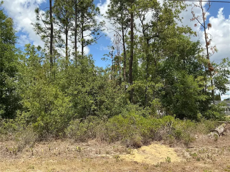 SE 160TH PL, Summerfield, FL 34491