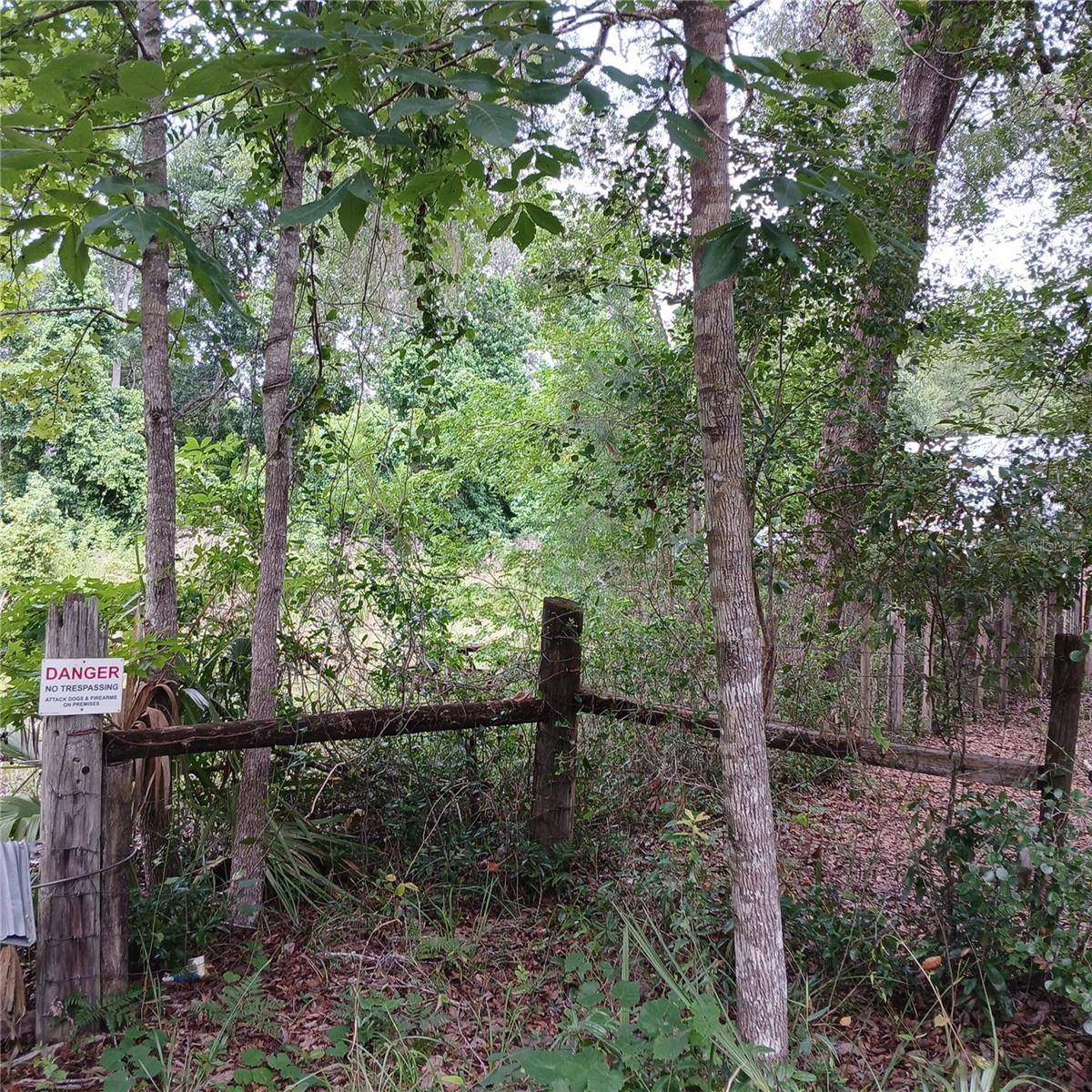 17151 NE 4TH LN, Silver Springs, FL 34488