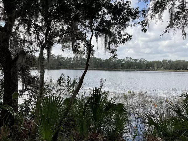 TBD Lot 51 MALAUKA RADL, Ocklawaha, FL 32179