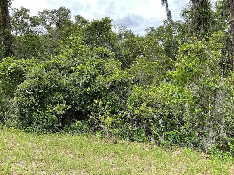 TBD Lot 60 MALAUKA RADL, Ocklawaha, FL 32179