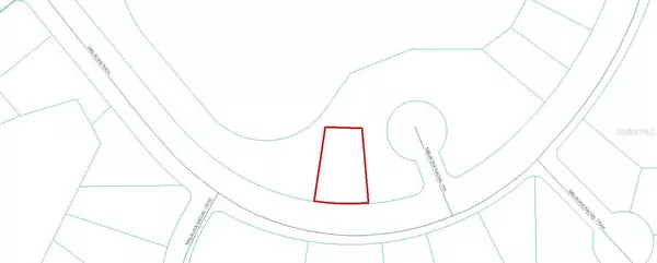 Ocklawaha, FL 32179,TBD Lot 60 MALAUKA RADL