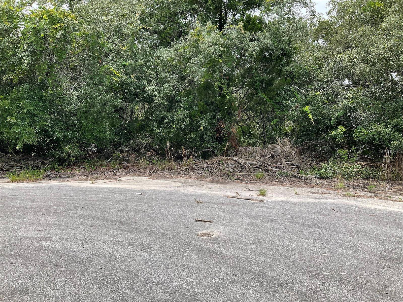 Ocklawaha, FL 32179,TBD Lot 58 MALAUKA RADIAL TRL