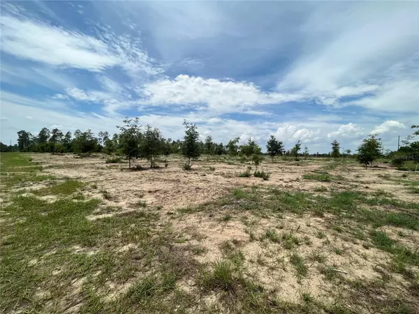 Weirsdale, FL 32195,00000 SE 170TH AVE