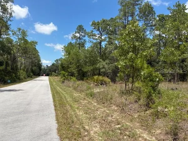 Dunnellon, FL 34431,TBD SW SOUTHVIEW CT