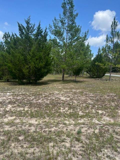 Dunnellon, FL 34431,1013 NW MANDRAKE DR
