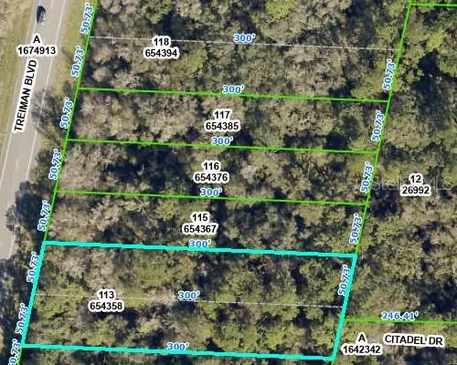 8380 TREIMAN BLVD, Webster, FL 33597