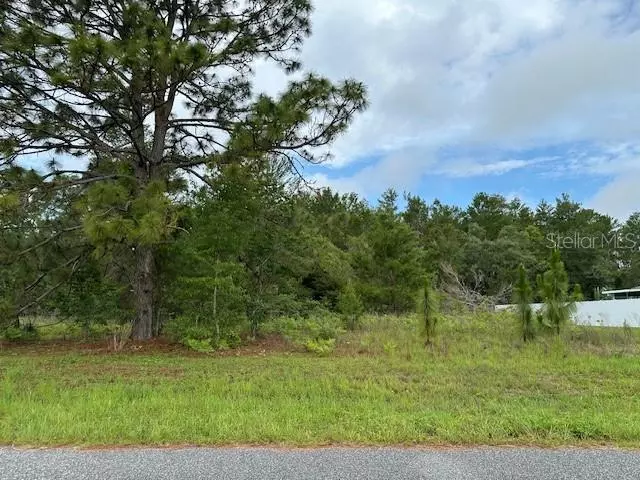 Ocala, FL 34473,Lot 6 SW SW 48 COURT ROAD