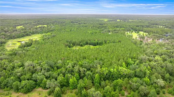 Reddick, FL 32686,TBD NW 160TH ST