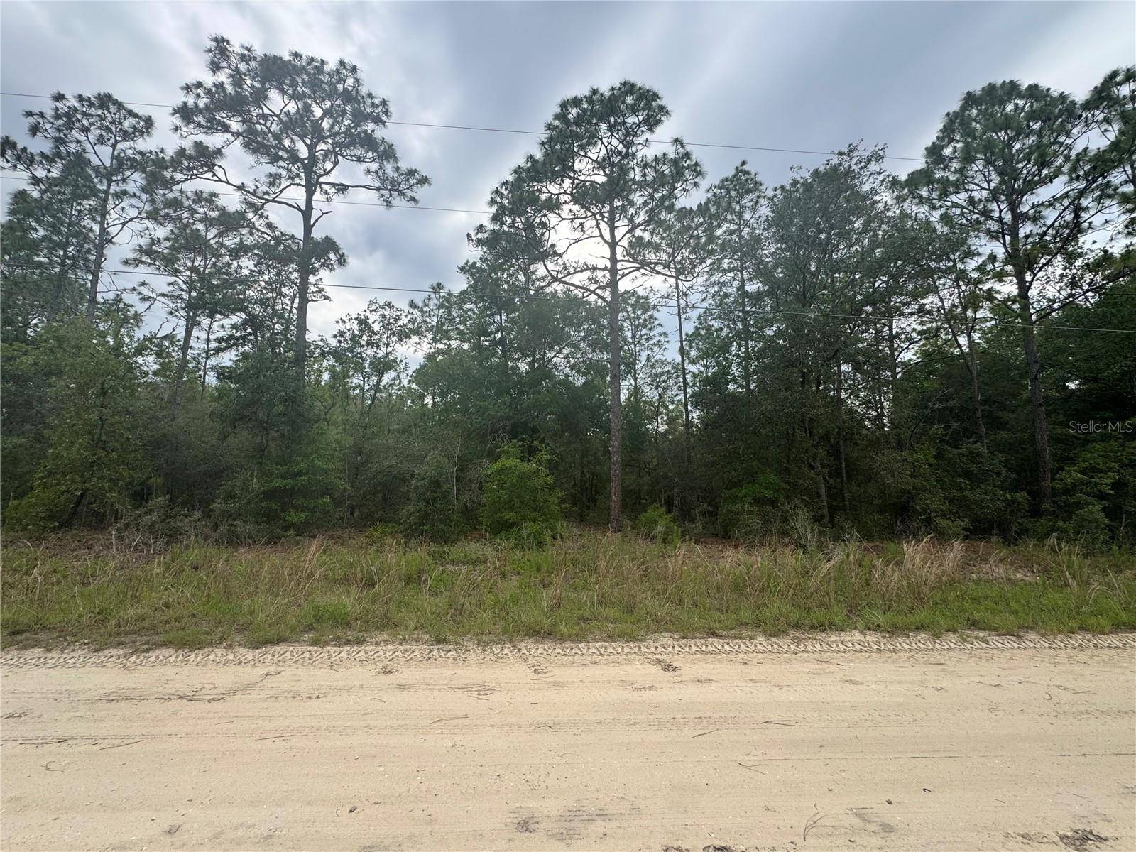 Ocala, FL 34481,TBD SW 159 CT