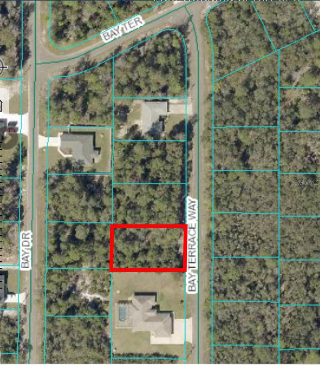 Ocklawaha, FL 32179,00 BAY TERRACE WAY #Lot 6