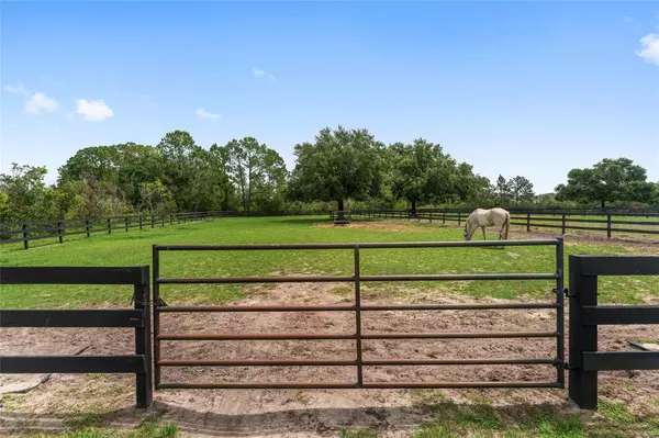 Clermont, FL 34711,10740 OLD GROVE RD
