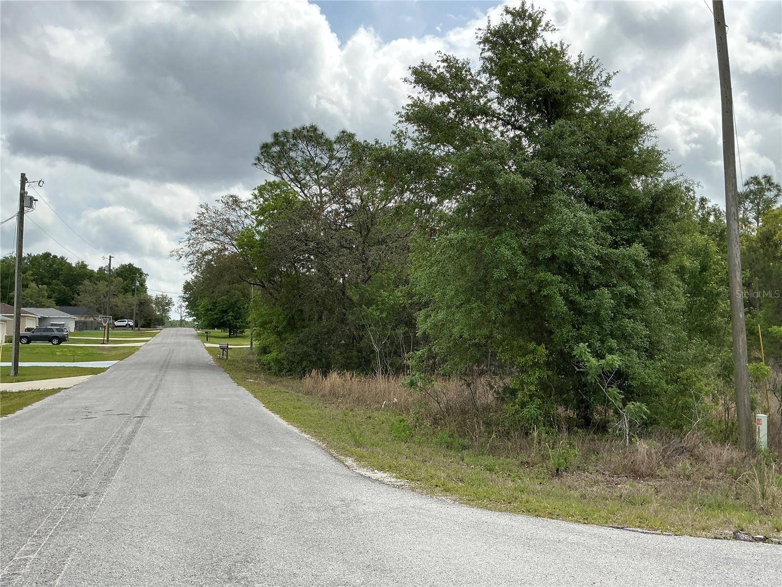 Summerfield, FL 34491,SE 152ND LN