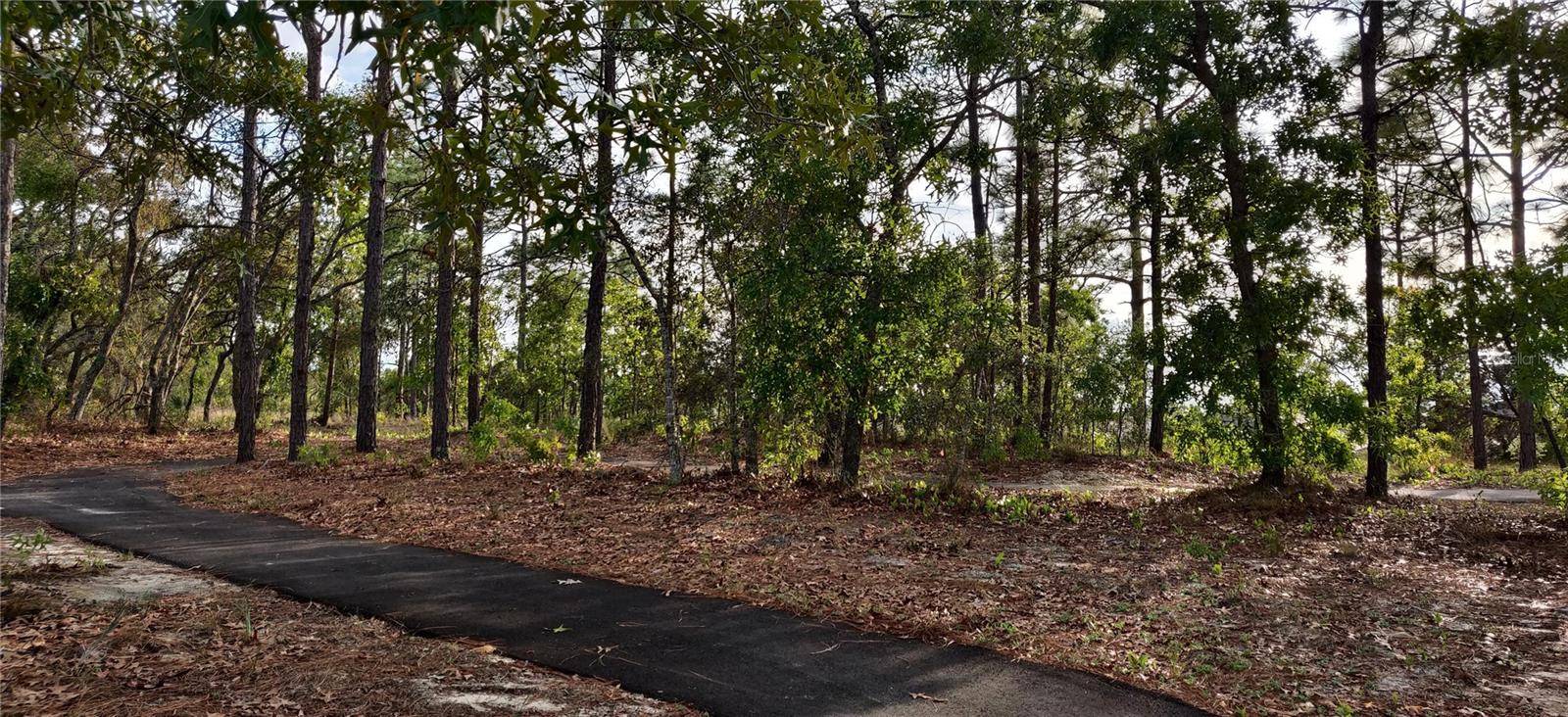 Spring Hill, FL 34609,5469 OCEAN BREEZE DR