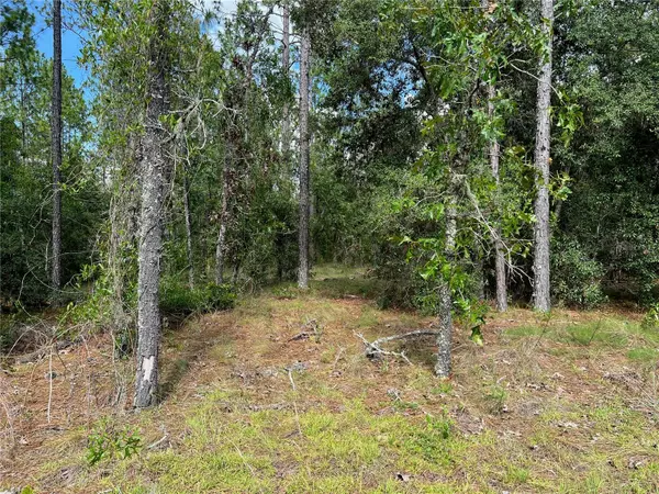 Williston, FL 32696,000 NE 138 AVE