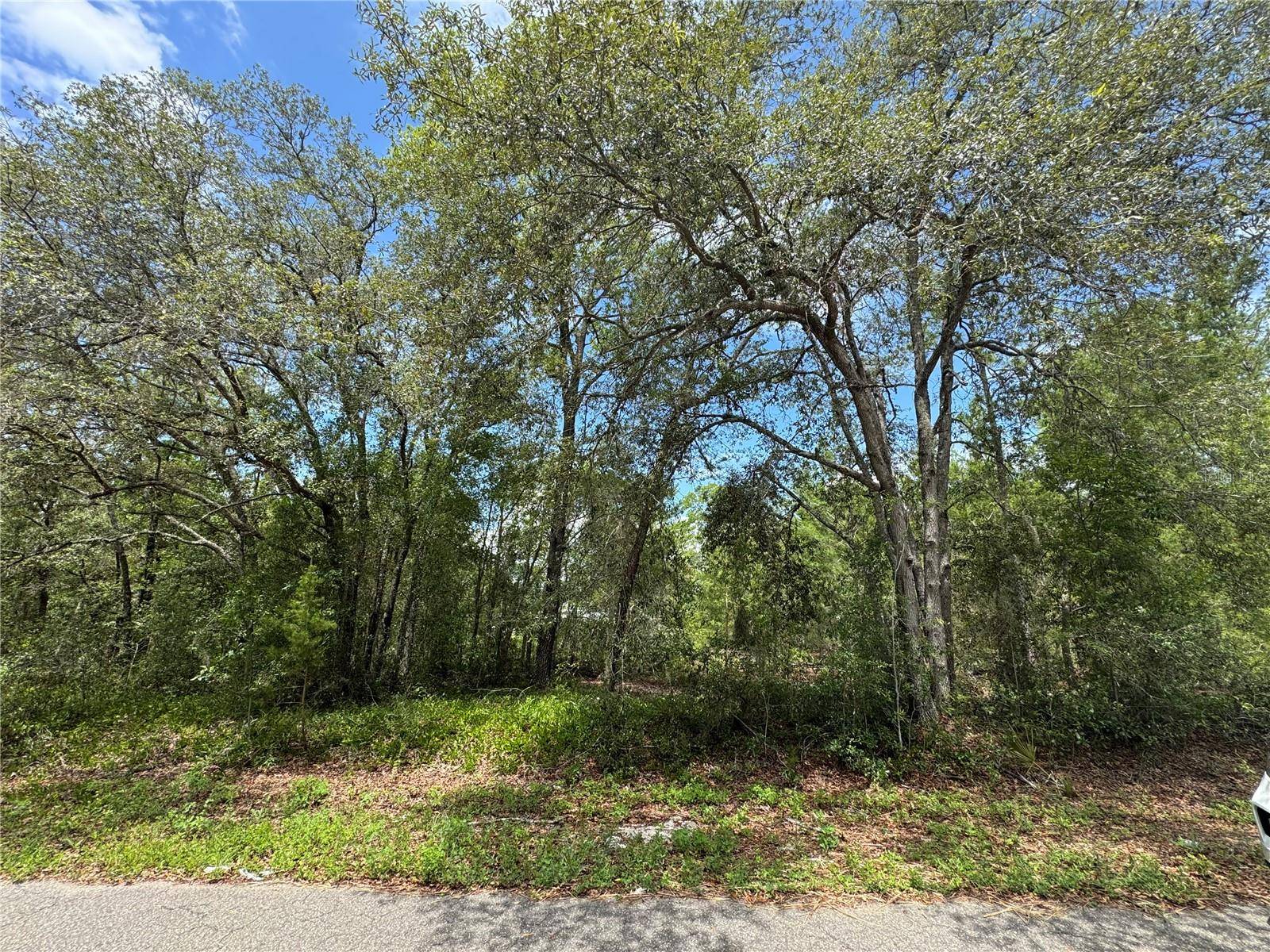 0 FISHER LANE WAY #Lot #8, Ocklawaha, FL 32179