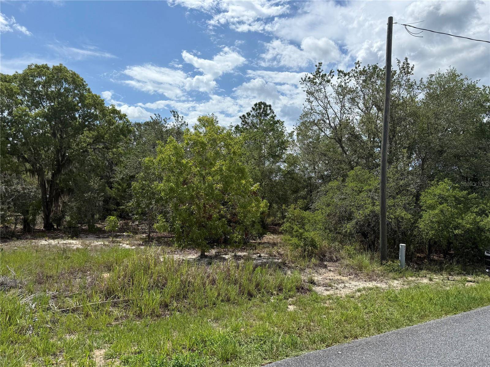 TBD LOCUST LANE PASS, Ocala, FL 34472