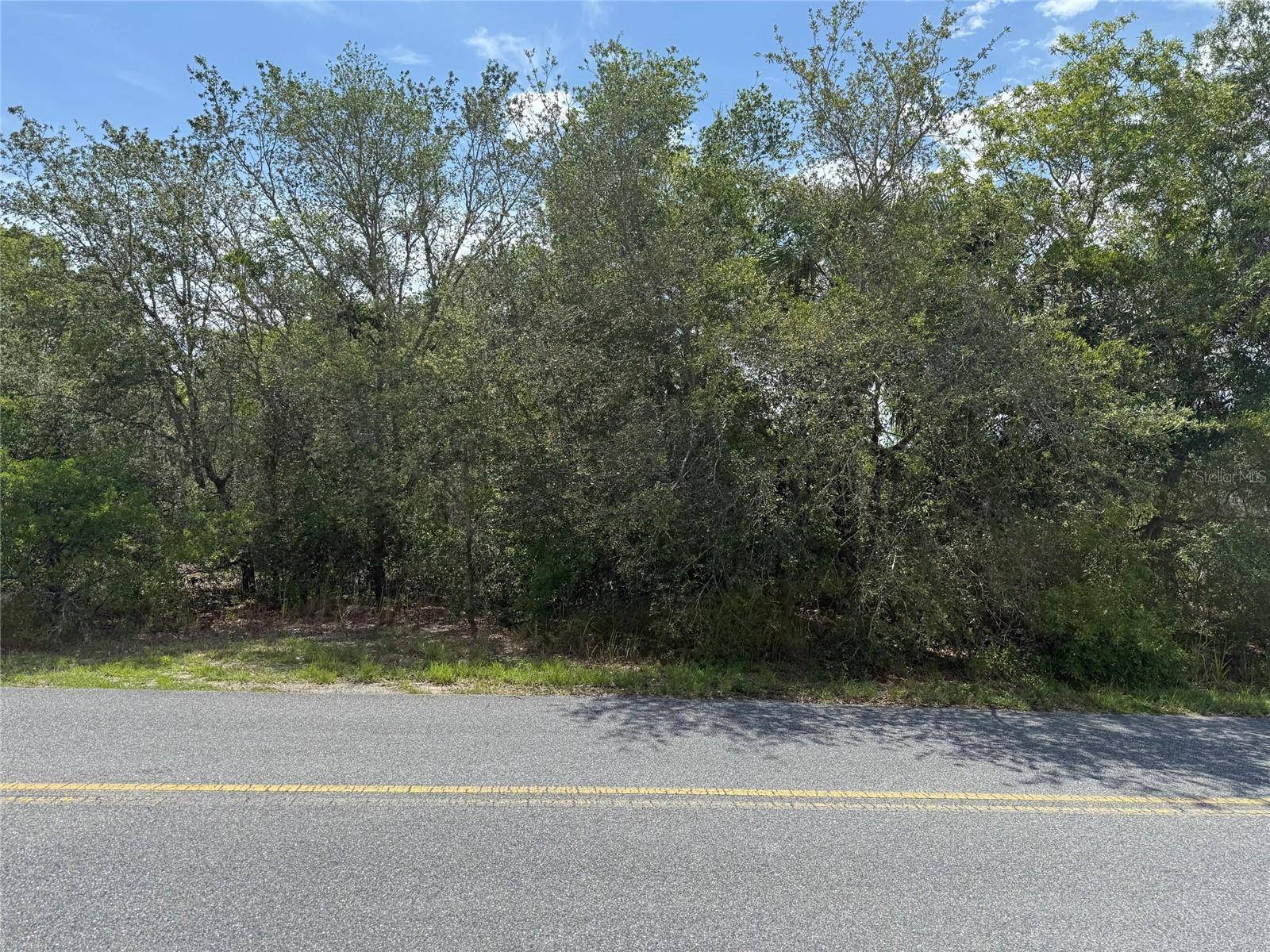 Ocala, FL 34472,TBD LOCUST LANE PASS