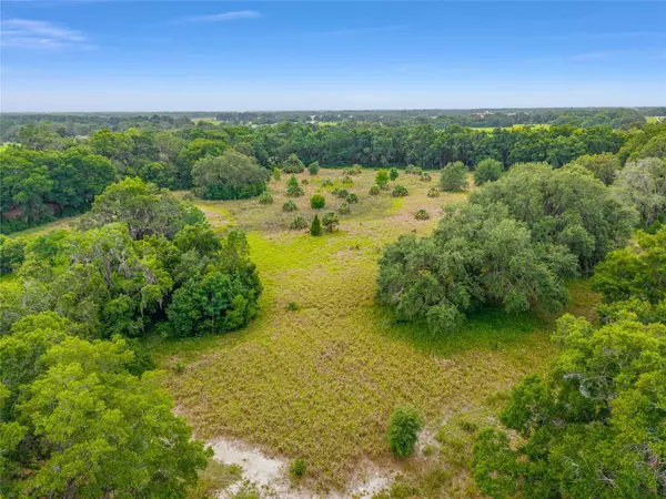 Summerfield, FL 34491,TBD S HIGHWAY 301
