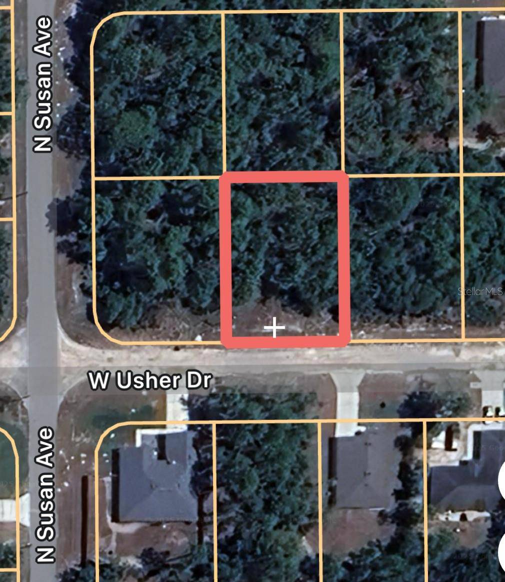 3381 W USHER DR, Citrus Springs, FL 34433