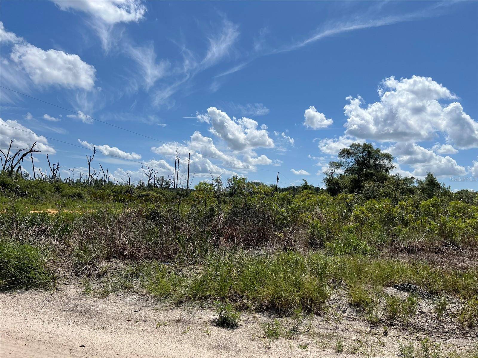 Dunnellon, FL 34432,0 SW 157 LN