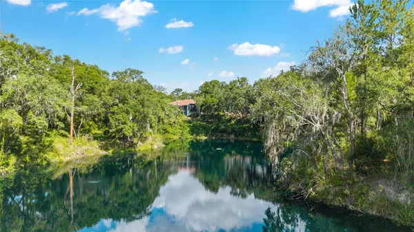 Hernando, FL 34442,3188 N CHANDLER DRIVE